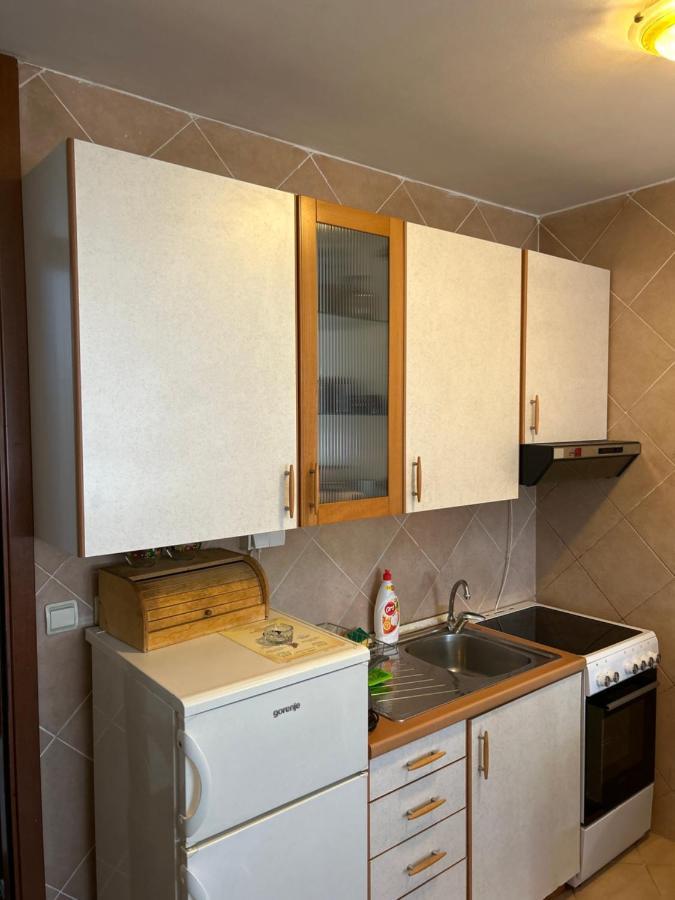 Apartment Sara بودغوريتْسا المظهر الخارجي الصورة